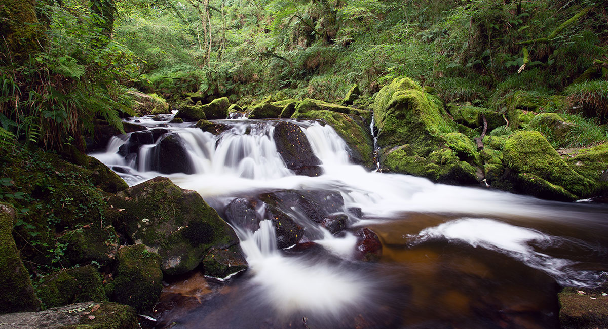 Horsham Falls, Dartmoor